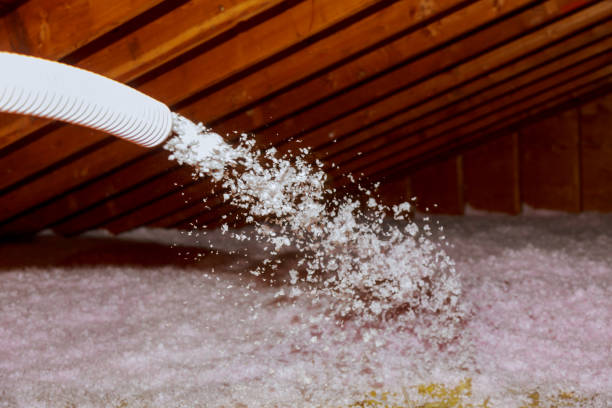 Best Insulation Air Sealing  in Pasadena, CA