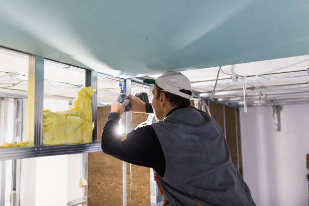 Best Blown-In Insulation  in Pasadena, CA