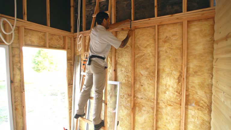 Best Attic Insulation Installation  in Pasadena, CA