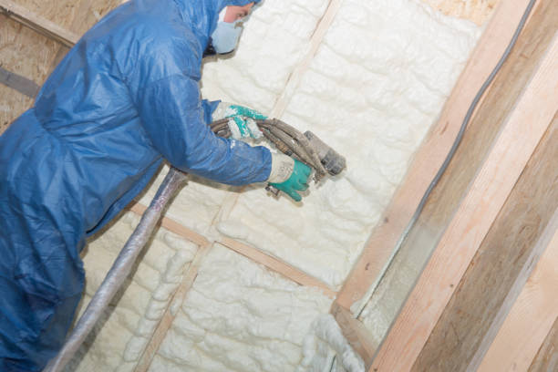 Best Wall Insulation Installation  in Pasadena, CA