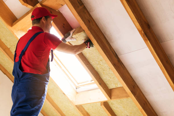 Best Attic Insulation Installation  in Pasadena, CA